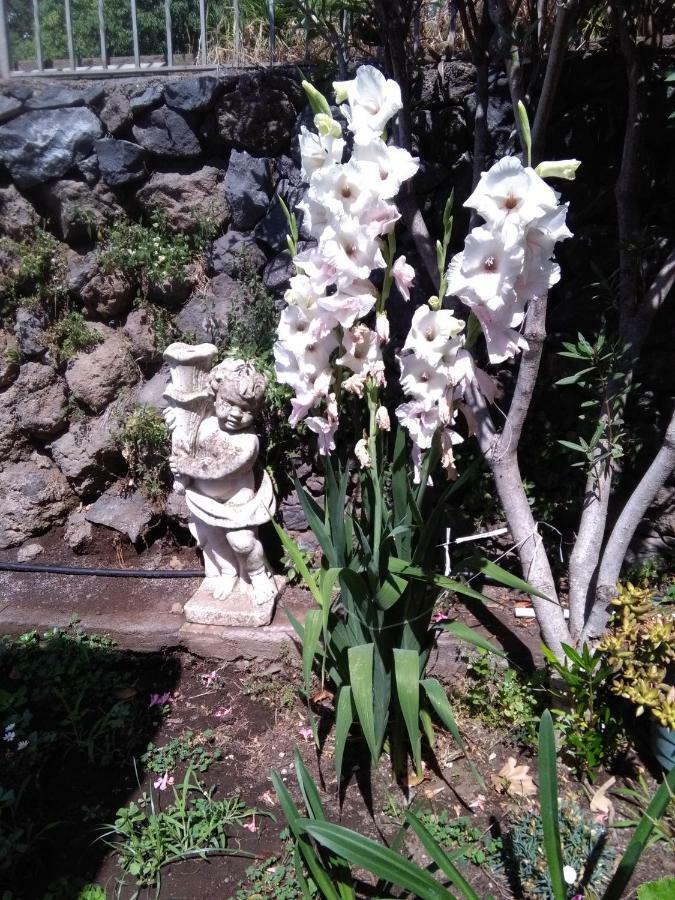 Ai Tre Archi Di Tagliaborse Villa Mascali Buitenkant foto